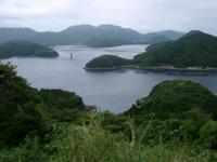 IMGP4417