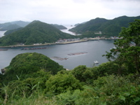 IMGP4418