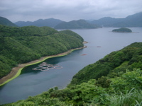 IMGP4419
