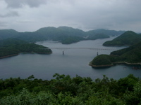 IMGP4431