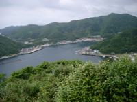 IMGP4432