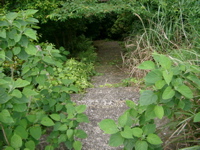 IMGP4433