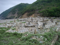 IMGP4439