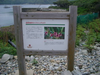 IMGP4440