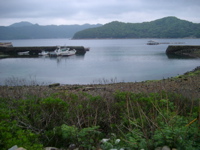 IMGP4441