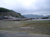 IMGP4442