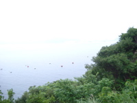 IMGP4445