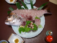 IMGP4446