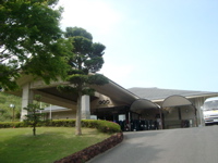 IMGP4448