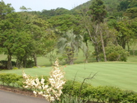 IMGP4449