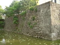 IMGP4451