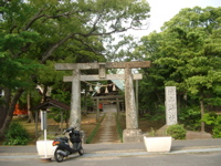 IMGP4452
