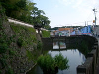 IMGP4455