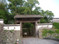 IMGP4456