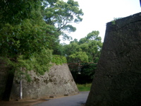 IMGP4457