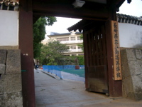 IMGP4459