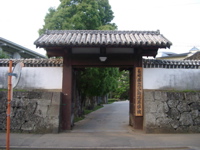 IMGP4460