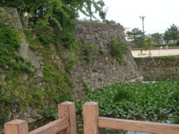 IMGP4462