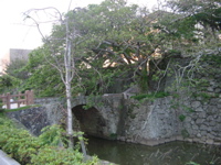 IMGP4467