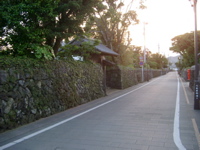 IMGP4471
