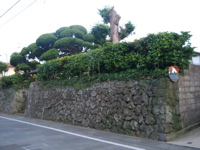 IMGP4475