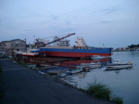 IMGP4481