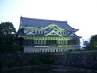 IMGP4493