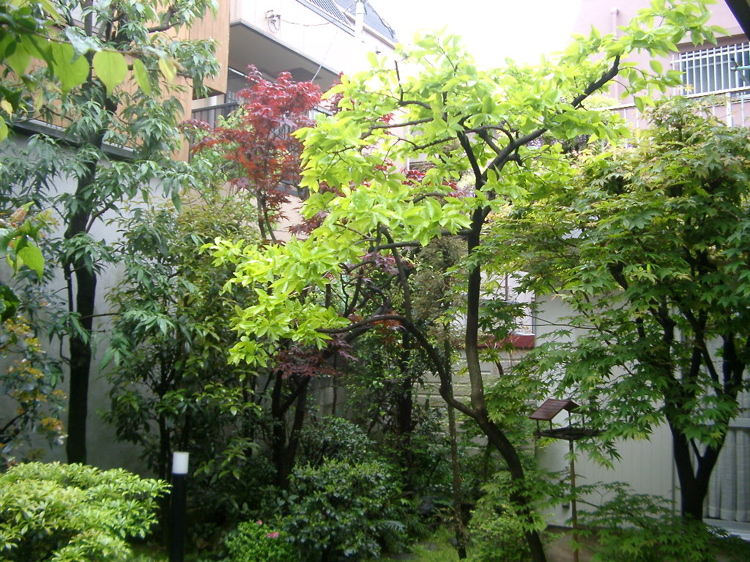 IMGP5779