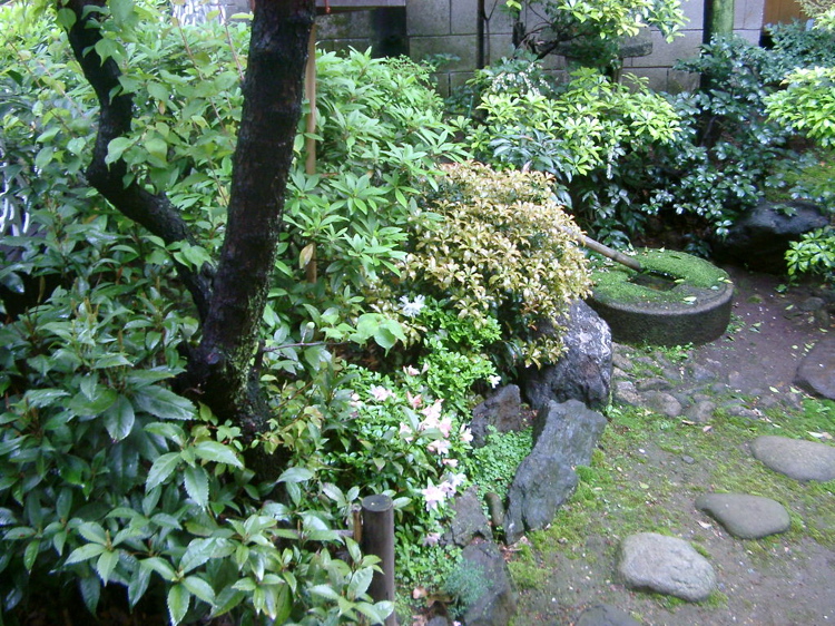 IMGP5782