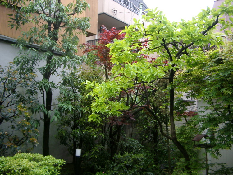 IMGP5784