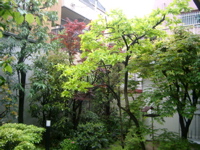 IMGP5779