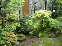 IMGP5780