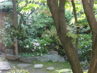 IMGP5789
