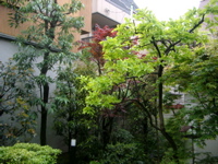 IMGP5784