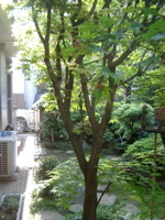IMGP5785