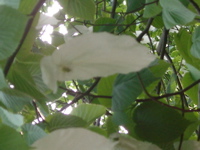 IMGP5816