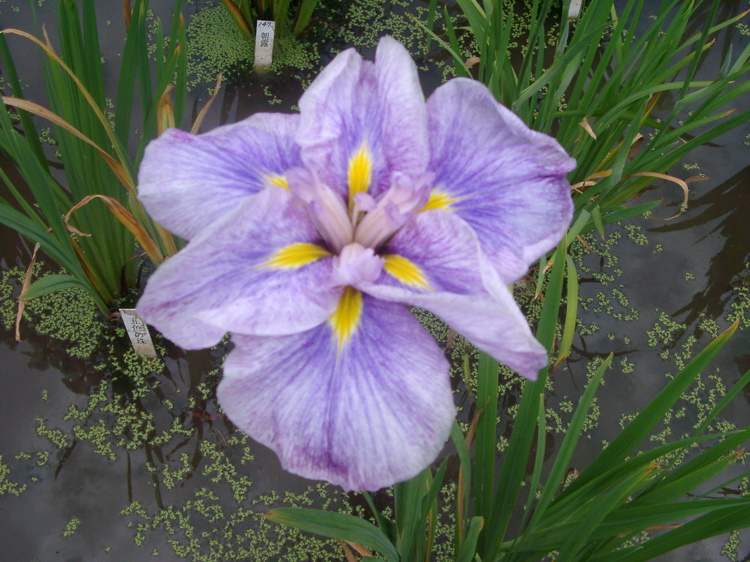 IMGP6035