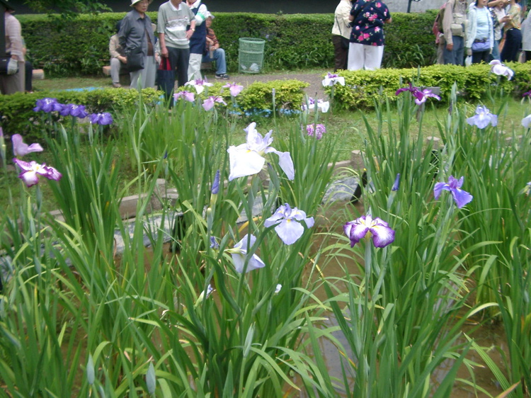 IMGP6040