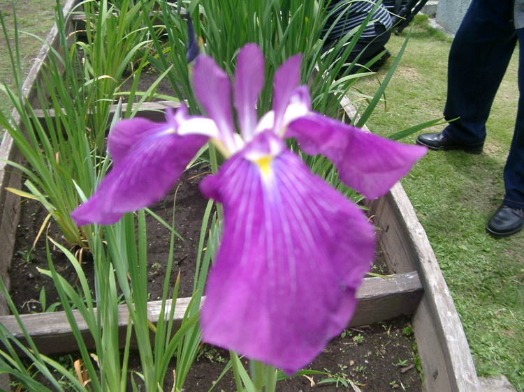 IMGP6041