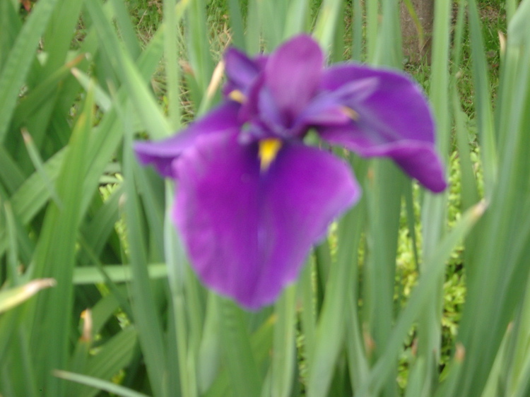IMGP6057