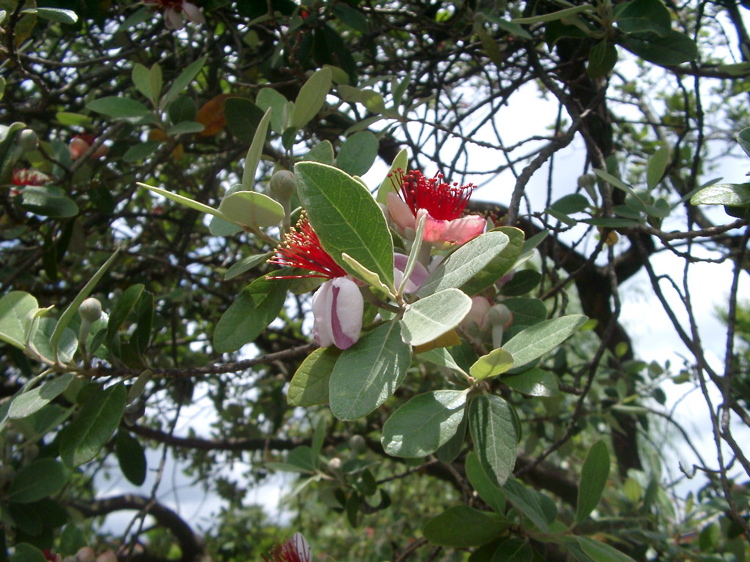IMGP6060
