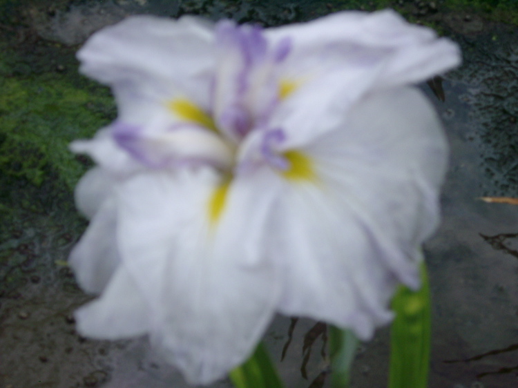IMGP6072