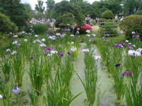 IMGP6004