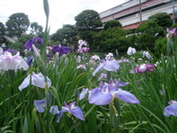 IMGP6006
