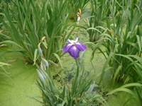 IMGP6024