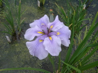 IMGP6034