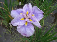 IMGP6035