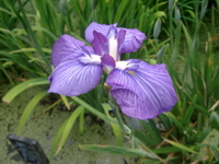 IMGP6046