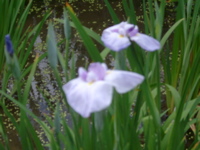 IMGP6051