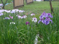 IMGP6055